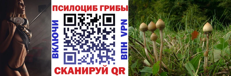 hydra ССЫЛКА  Похвистнево  Псилоцибиновые грибы прущие грибы 
